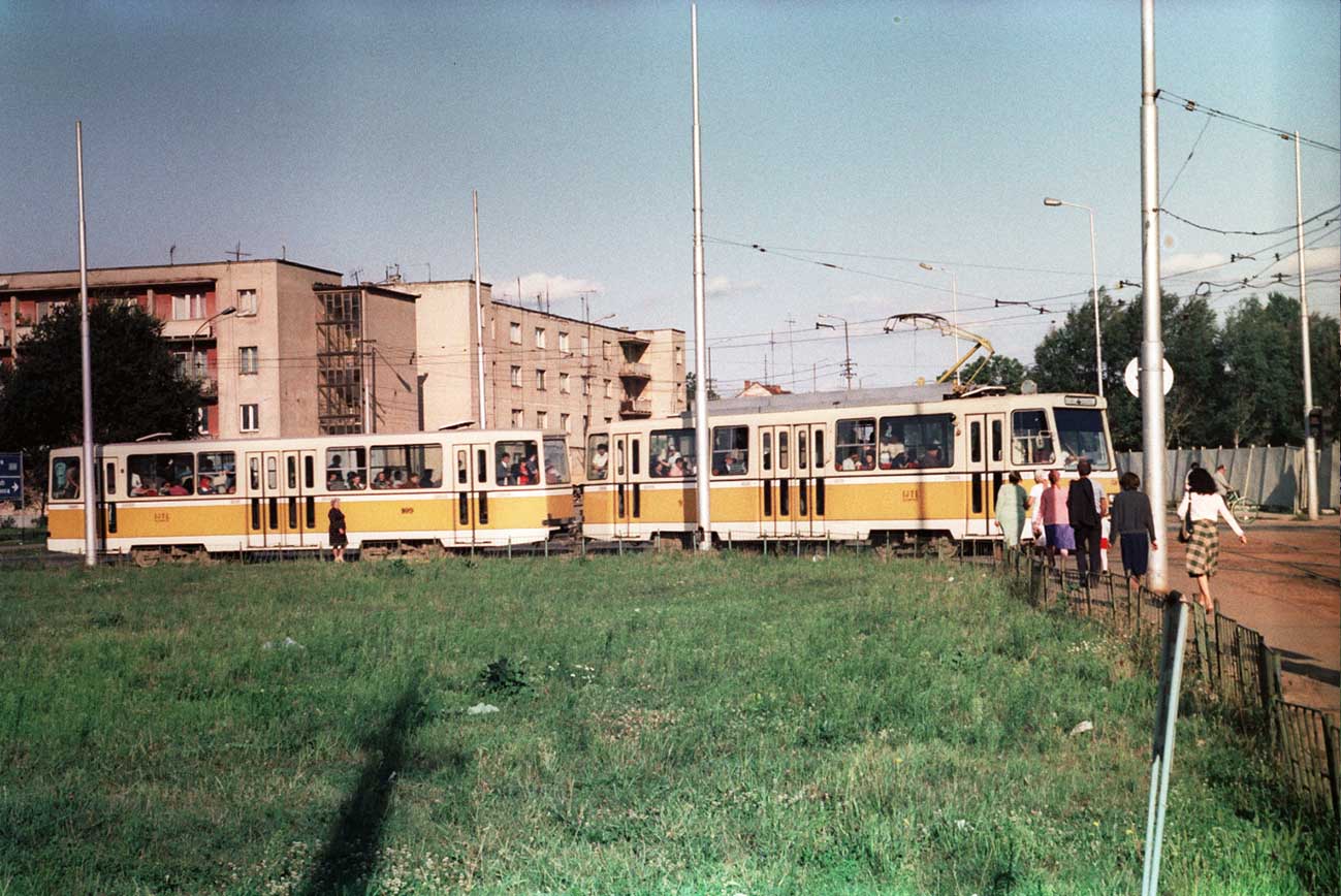 Timiș villamos